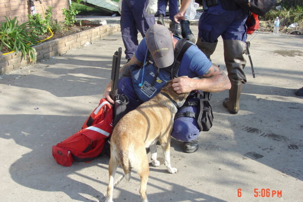 Photo: Coast Guard team member kneels down to greet a lost dog.