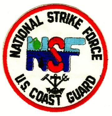Photo: National Strike Force patch.